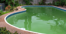 Algen im Pool entfernen: Wie man Algen im Schwimmbecken schnell beseitigt