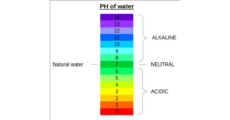 Was der Unterschied von pH-Wert und Alkalinität im Poolwasser?
