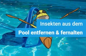 schwimmende-insekten-im-pool-entfernen