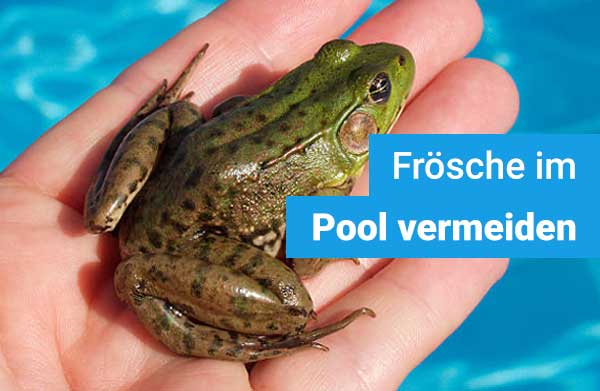 froesche-im-pool-vermeiden