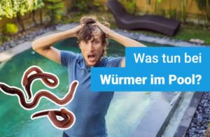 wuermer-im-pool
