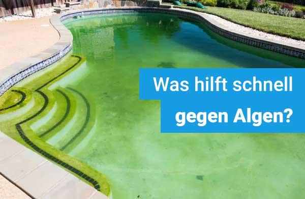 was-hilft-schnell-gegen-algen-pool