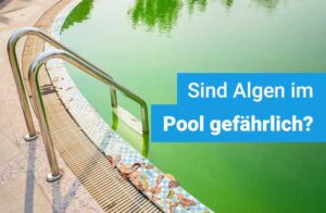 algen-im-pool-gefaehrlich